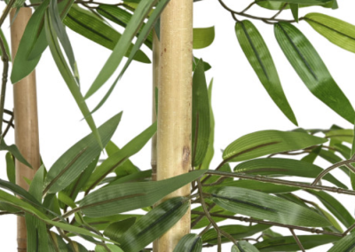 tienda de decoración Alicante