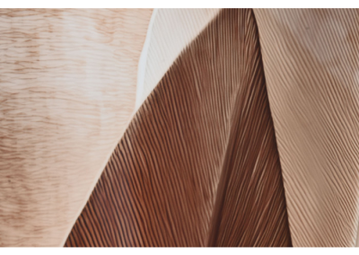 tienda decoracion Alicante