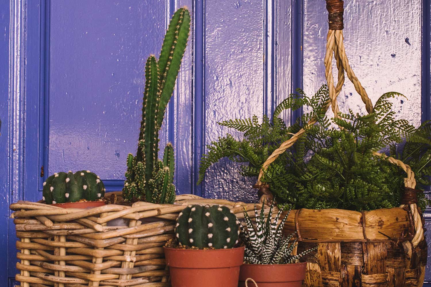 Cabecera-maceta-01 Macetas de exterior