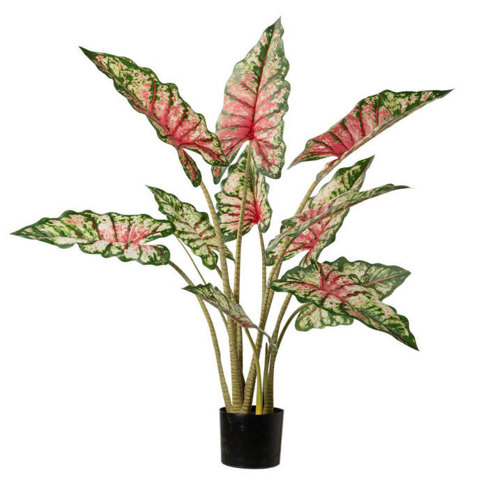 Planta artificial Taro Tabby